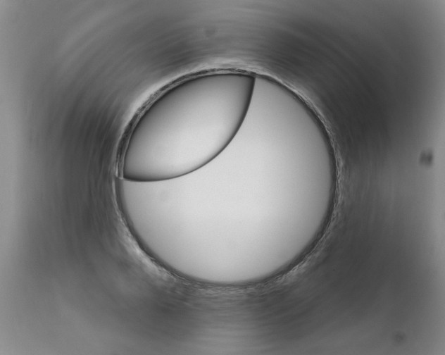 X0000111510888200908251110