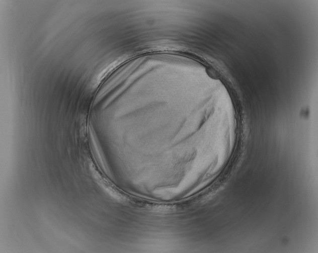 X0000111510889200908251110