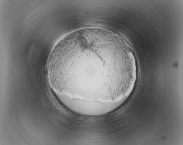 X0000111510891200908251110