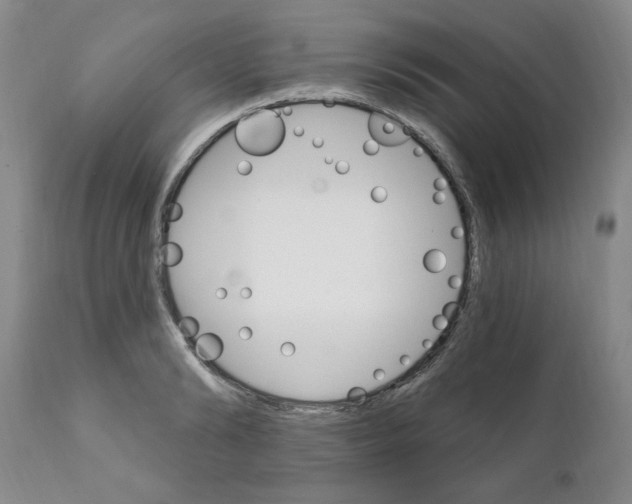 X0000111510894200908251110