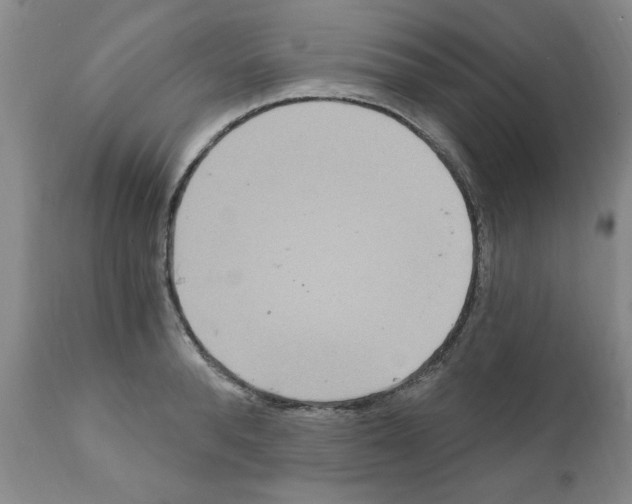 X0000111510896200908251110