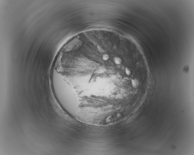 X0000111510899200908251110