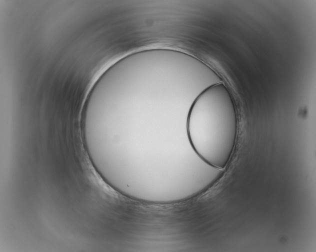 X0000111510900200908251110