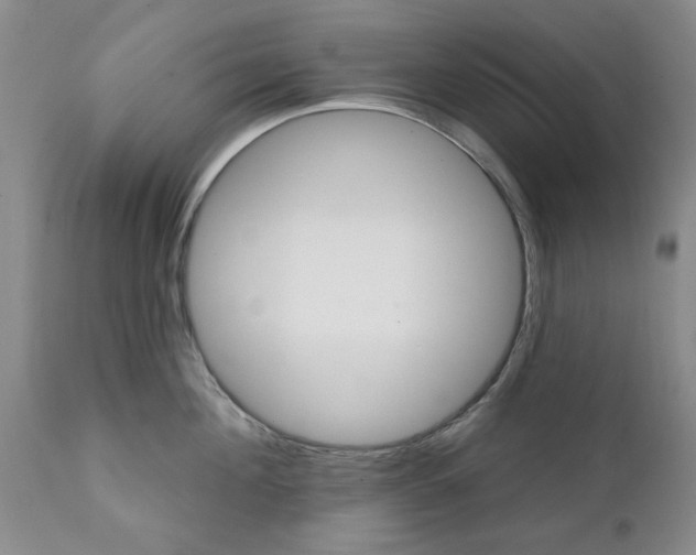 X0000111510908200908251110