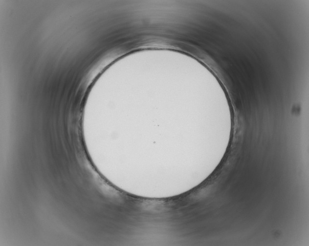 X0000111510909200908251110
