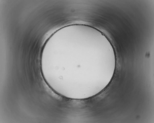 X0000111510910200908251110