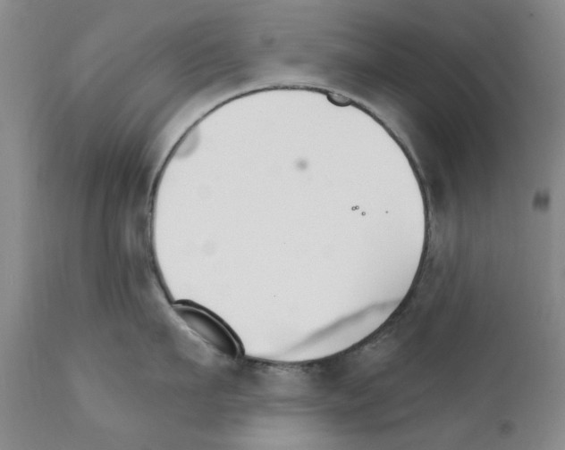 X0000111510911200908251110