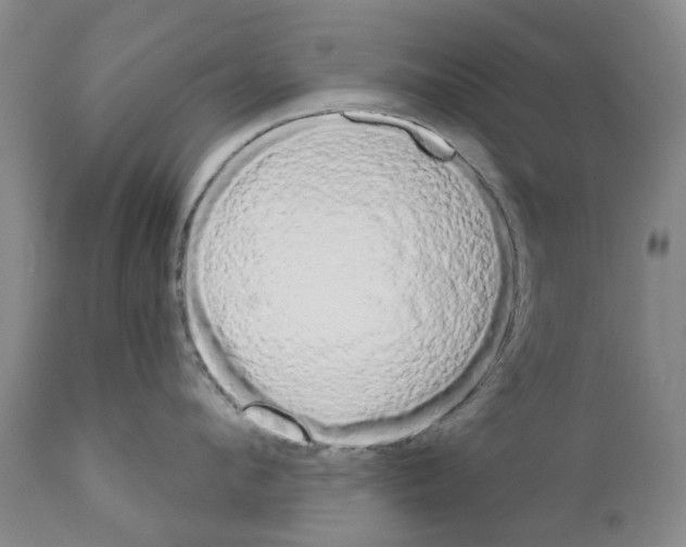 X0000111510912200908251110