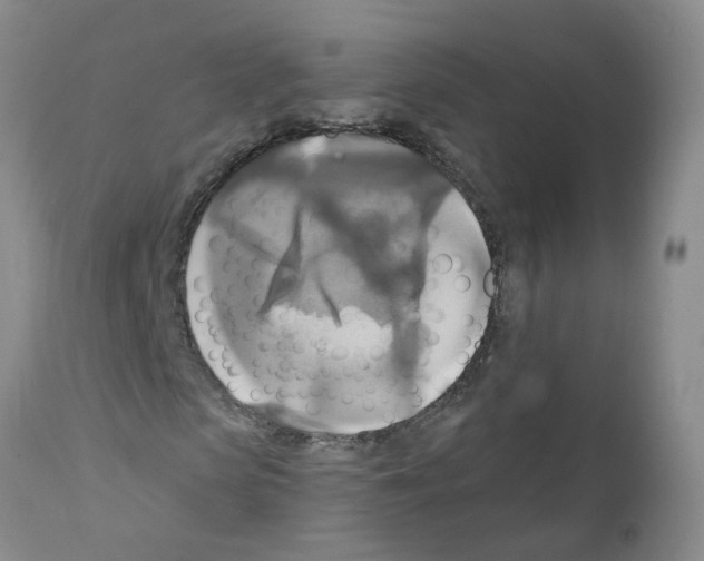 X0000111510913200908251109