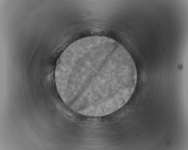 X0000111510914200908251109