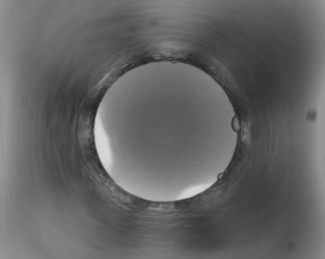 X0000111510915200908251109