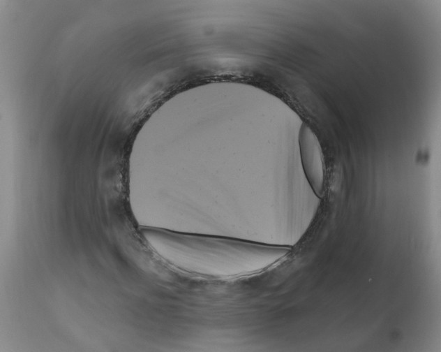 X0000111510916200908251109