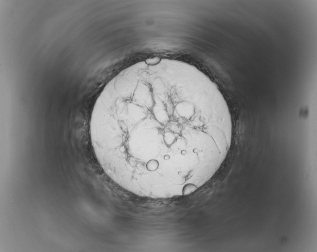 X0000111510917200908251109