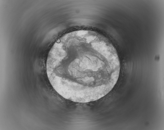 X0000111510918200908251109