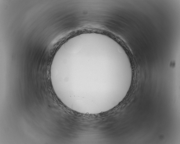 X0000111510919200908251109