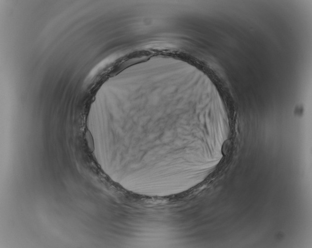 X0000111510920200908251109