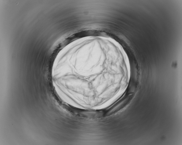 X0000111510922200908251109