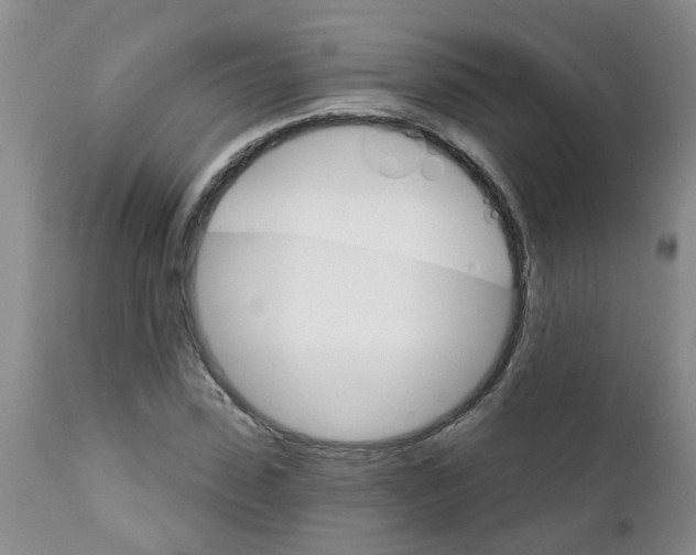X0000111510923200908251109