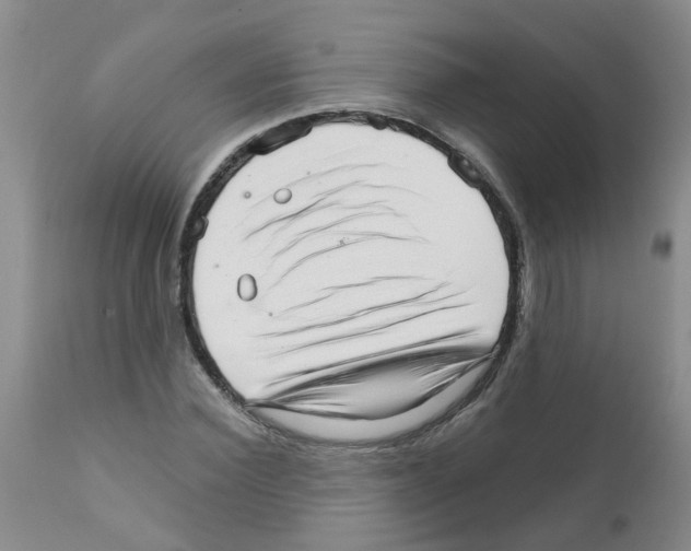 X0000111510924200908251109