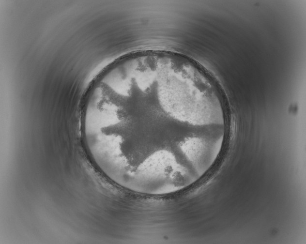 X0000111510925200908251109