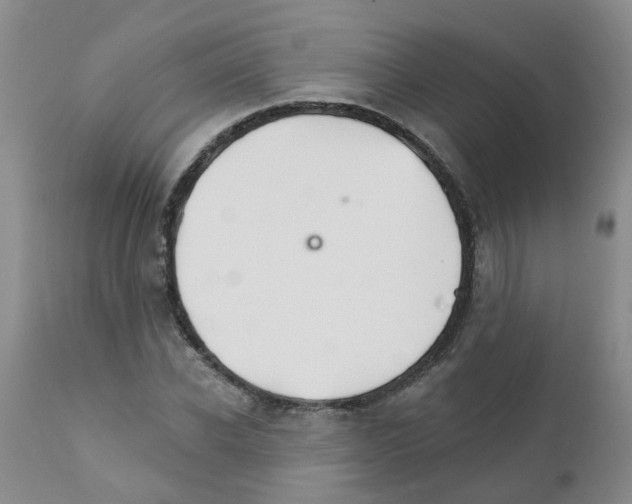 X0000111510926200908251109