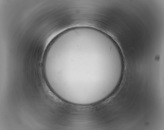 X0000111510928200908251109