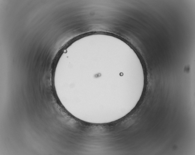 X0000111510931200908251109