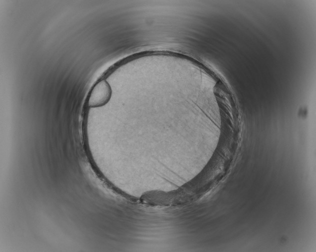X0000111510932200908251109