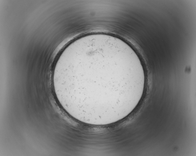 X0000111510933200908251109