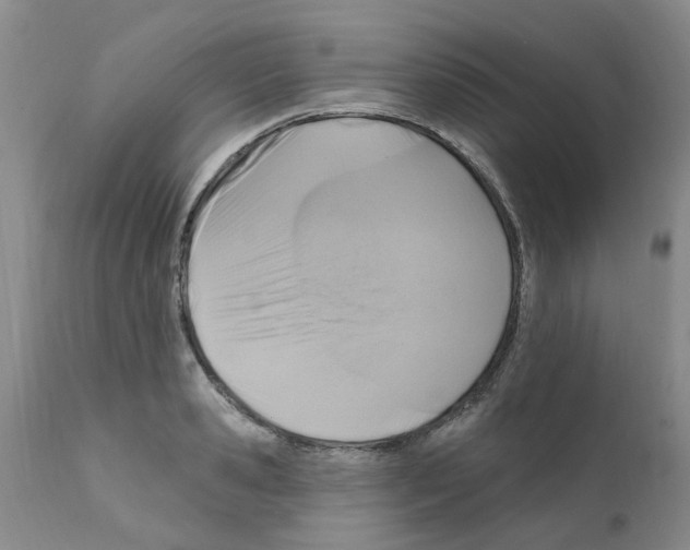 X0000111510941200908251109