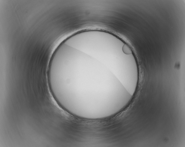 X0000111510943200908251109