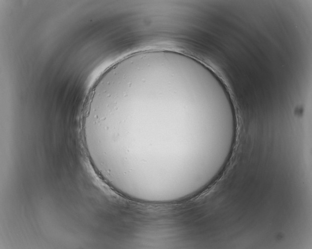 X0000111510944200908251109