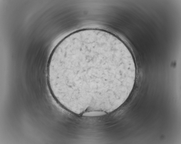 X0000111510951200908251110