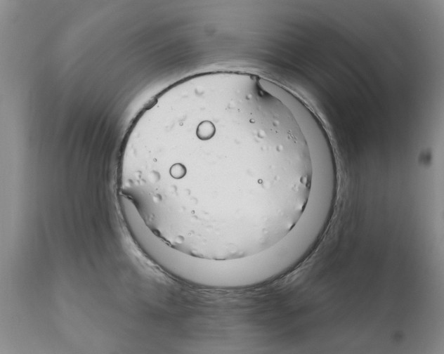 X0000111510952200908251110
