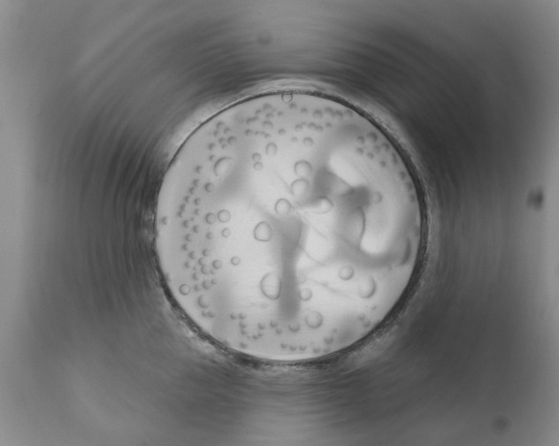 X0000111510953200908251110