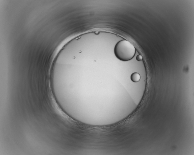 X0000111510955200908251110