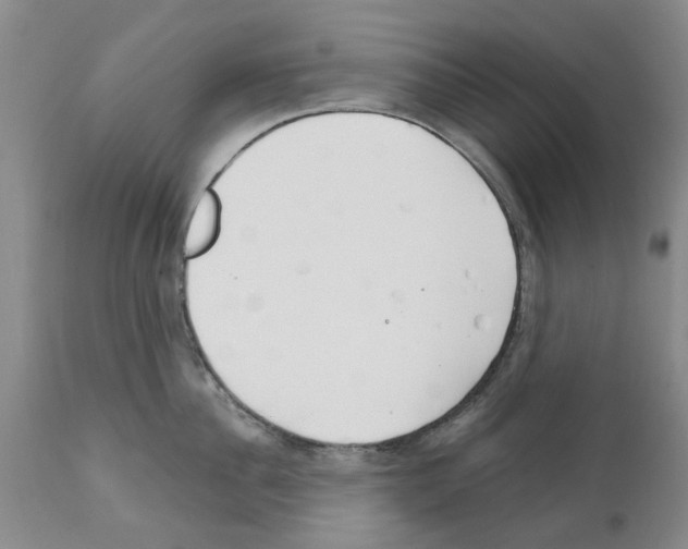 X0000111510956200908251110