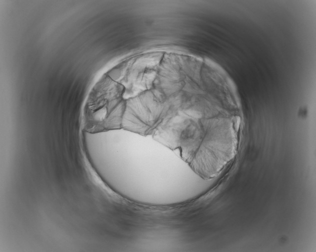 X0000111510957200908251110