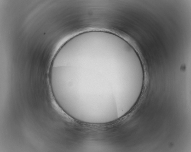 X0000111510958200908251110