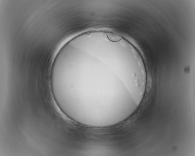 X0000111510959200908251110