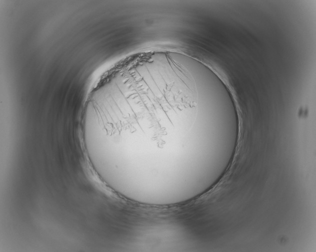 X0000111510960200908251110