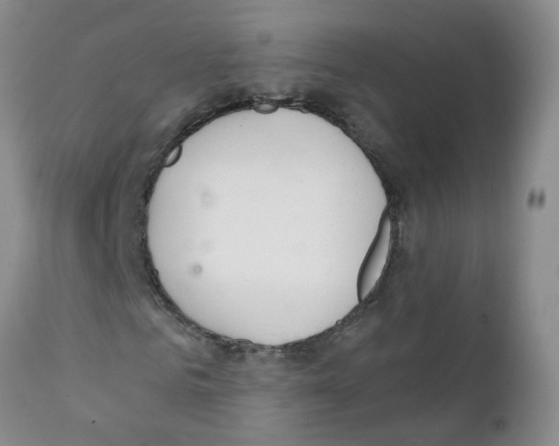 X0000111510961200908251109