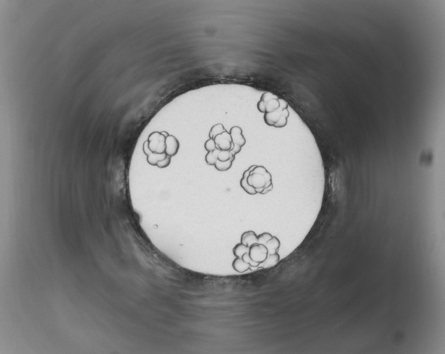 X0000111510963200908251109