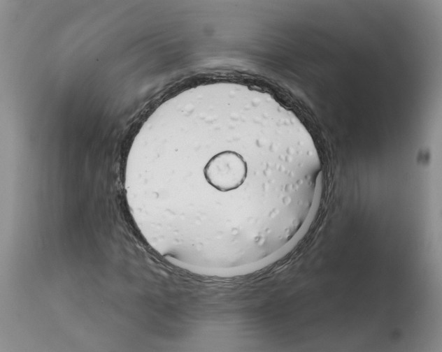 X0000111510965200908251109