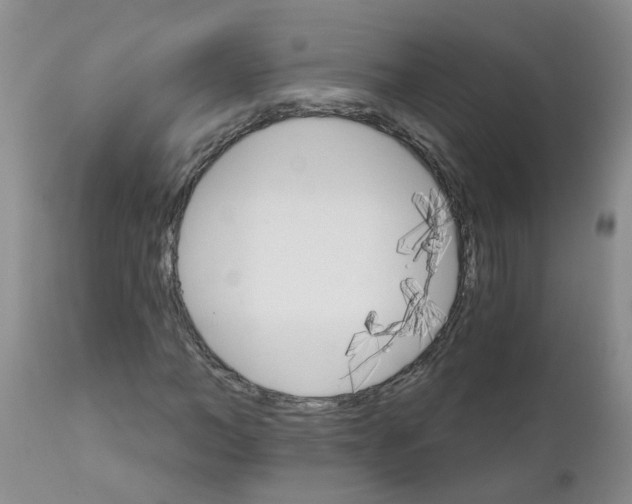 X0000111510966200908251109