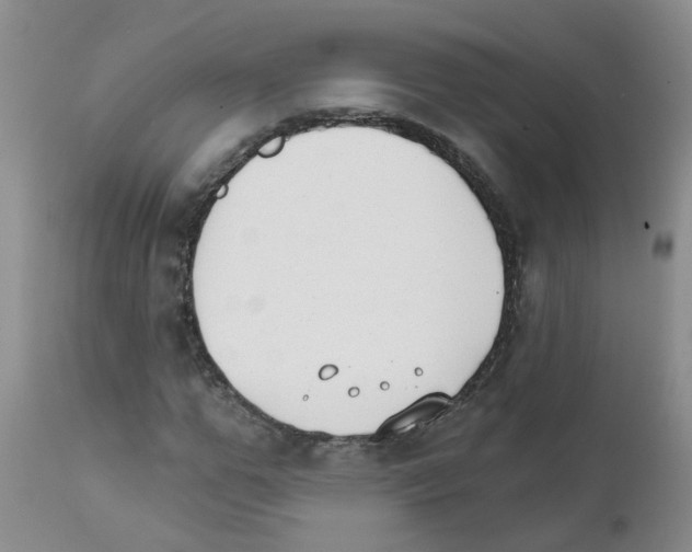 X0000111510967200908251109