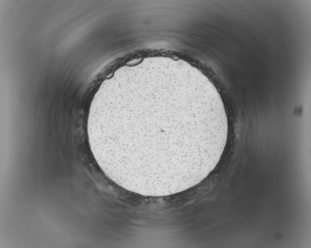 X0000111510968200908251109