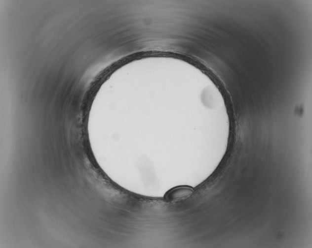 X0000111510971200908251109