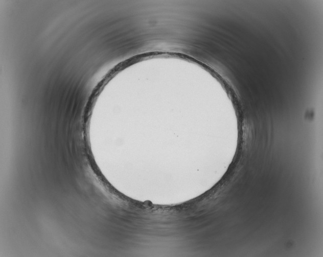 X0000111510972200908251109