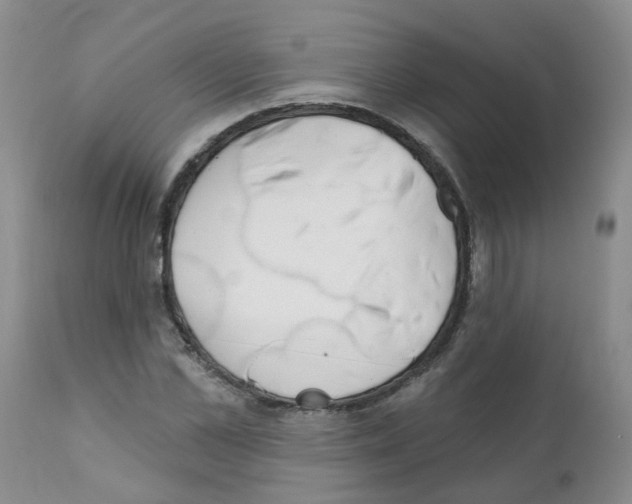 X0000111510973200908251109
